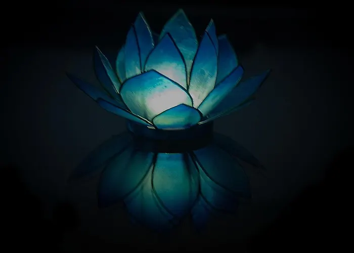 Blue Lotus Apartment *
